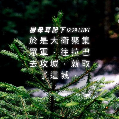 Picture 04 - 撒 母 耳 記 下 12:29 CUVT - 於 是 大 衛 聚 集 眾 軍 ， 往 拉 巴 - Bible Verse Picture