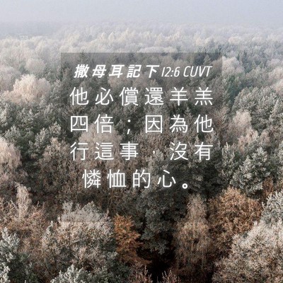 Picture 04 - 撒 母 耳 記 下 12:6 CUVT - 他 必 償 還 羊 羔 四 倍 ； 因 為 他 - Bible Verse Picture