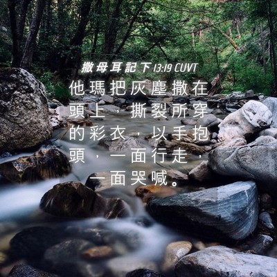 Picture 04 - 撒 母 耳 記 下 13:19 CUVT - 他 瑪 把 灰 塵 撒 在 頭 上 ， 撕 裂 - Bible Verse Picture