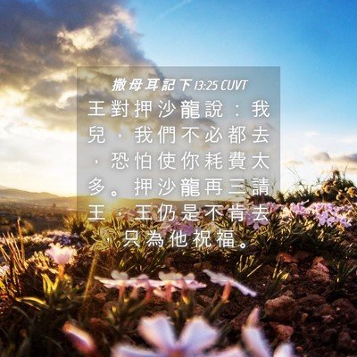 Picture 04 - 撒 母 耳 記 下 13:25 CUVT - 王 對 押 沙 龍 說 ： 我 兒 ， 我 們 - Bible Verse Picture