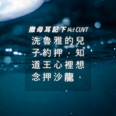 Picture 04 - 撒 母 耳 記 下 14:1 CUVT - 洗 魯 雅 的 兒 子 約 押 ， 知 道 王 - Bible Verse Picture