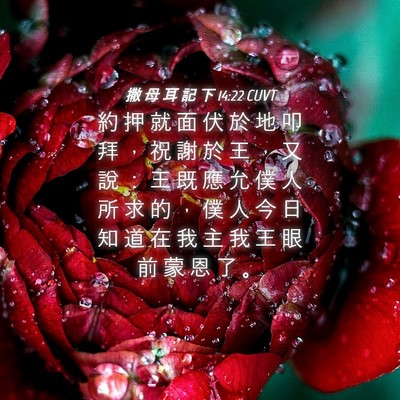 Picture 04 - 撒 母 耳 記 下 14:22 CUVT - 約 押 就 面 伏 於 地 叩 拜 ， 祝 謝 - Bible Verse Picture