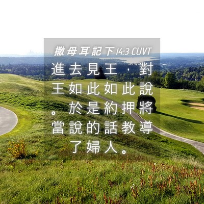 Picture 04 - 撒 母 耳 記 下 14:3 CUVT - 進 去 見 王 ， 對 王 如 此 如 此 說 - Bible Verse Picture
