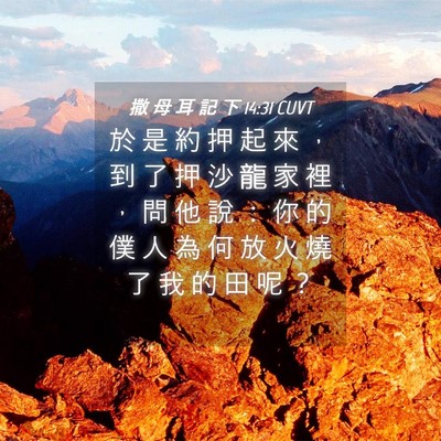 Picture 04 - 撒 母 耳 記 下 14:31 CUVT - 於 是 約 押 起 來 ， 到 了 押 沙 龍 - Bible Verse Picture