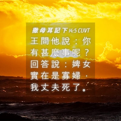 Picture 04 - 撒 母 耳 記 下 14:5 CUVT - 王 問 他 說 ： 你 有 甚 麼 事 呢 ？ - Bible Verse Picture