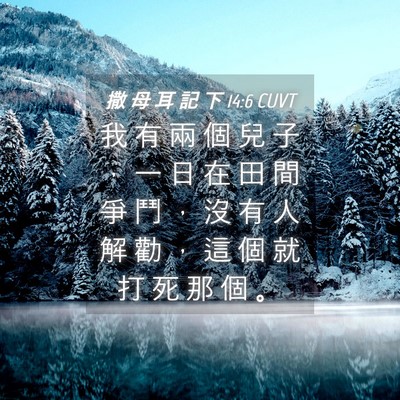 Picture 04 - 撒 母 耳 記 下 14:6 CUVT - 我 有 兩 個 兒 子 ， 一 日 在 田 間 - Bible Verse Picture