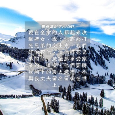 Picture 04 - 撒 母 耳 記 下 14:7 CUVT - 現 在 全 家 的 人 都 起 來 攻 擊 婢 - Bible Verse Picture