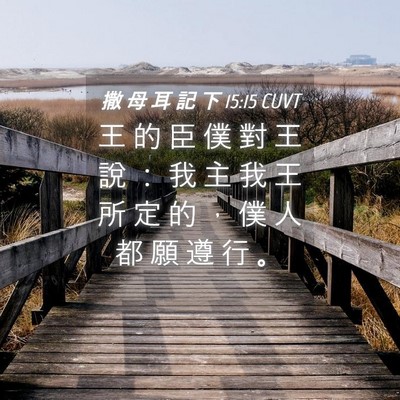 Picture 04 - 撒 母 耳 記 下 15:15 CUVT - 王 的 臣 僕 對 王 說 ： 我 主 我 王 - Bible Verse Picture