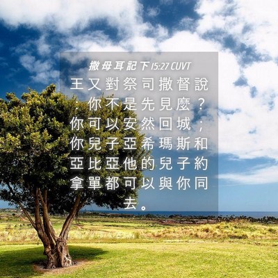 Picture 04 - 撒 母 耳 記 下 15:27 CUVT - 王 又 對 祭 司 撒 督 說 ： 你 不 是 - Bible Verse Picture