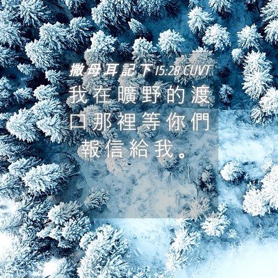 Picture 04 - 撒 母 耳 記 下 15:28 CUVT - 我 在 曠 野 的 渡 口 那 裡 等 你 們 - Bible Verse Picture