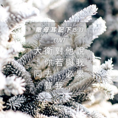 Picture 04 - 撒 母 耳 記 下 15:33 CUVT - 大 衛 對 他 說 ： 你 若 與 我 同 去 - Bible Verse Picture