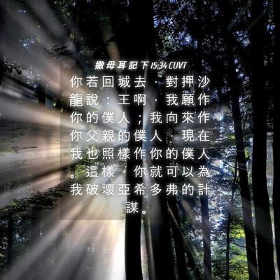 Picture 04 - 撒 母 耳 記 下 15:34 CUVT - 你 若 回 城 去 ， 對 押 沙 龍 說 ： - Bible Verse Picture