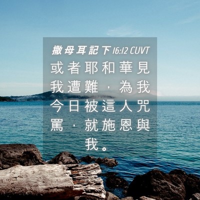 Picture 04 - 撒 母 耳 記 下 16:12 CUVT - 或 者 耶 和 華 見 我 遭 難 ， 為 我 - Bible Verse Picture