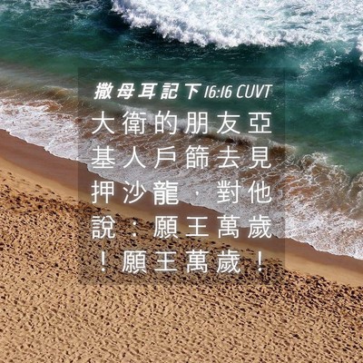 Picture 04 - 撒 母 耳 記 下 16:16 CUVT - 大 衛 的 朋 友 亞 基 人 戶 篩 去 見 - Bible Verse Picture