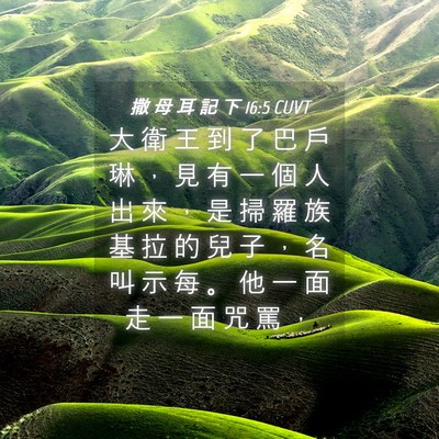 Picture 04 - 撒 母 耳 記 下 16:5 CUVT - 大 衛 王 到 了 巴 戶 琳 ， 見 有 一 - Bible Verse Picture