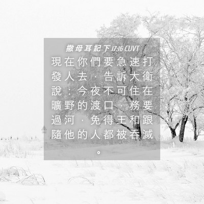 Picture 04 - 撒 母 耳 記 下 17:16 CUVT - 現 在 你 們 要 急 速 打 發 人 去 ， - Bible Verse Picture