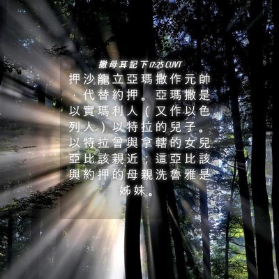 Picture 04 - 撒 母 耳 記 下 17:25 CUVT - 押 沙 龍 立 亞 瑪 撒 作 元 帥 ， 代 - Bible Verse Picture