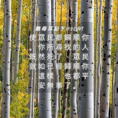 Picture 04 - 撒 母 耳 記 下 17:3 CUVT - 使 眾 民 都 歸 順 你 。 你 所 尋 找 - Bible Verse Picture
