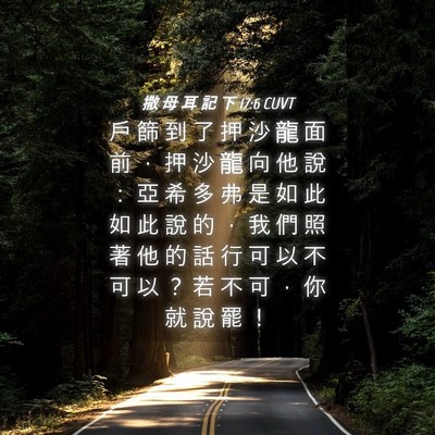 Picture 04 - 撒 母 耳 記 下 17:6 CUVT - 戶 篩 到 了 押 沙 龍 面 前 ， 押 沙 - Bible Verse Picture