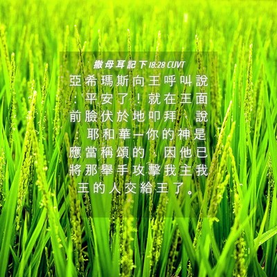 Picture 04 - 撒 母 耳 記 下 18:28 CUVT - 亞 希 瑪 斯 向 王 呼 叫 說 ： 平 安 - Bible Verse Picture