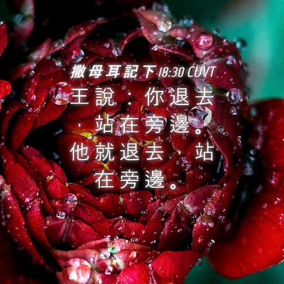 Picture 04 - 撒 母 耳 記 下 18:30 CUVT - 王 說 ： 你 退 去 ， 站 在 旁 邊 。 - Bible Verse Picture
