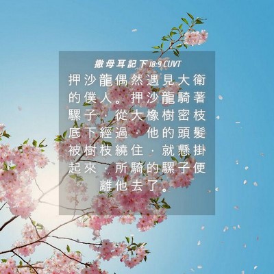 Picture 04 - 撒 母 耳 記 下 18:9 CUVT - 押 沙 龍 偶 然 遇 見 大 衛 的 僕 人 - Bible Verse Picture