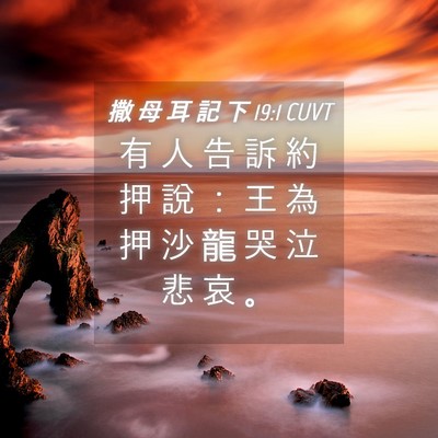 Picture 04 - 撒 母 耳 記 下 19:1 CUVT - 有 人 告 訴 約 押 說 ： 王 為 押 沙 - Bible Verse Picture