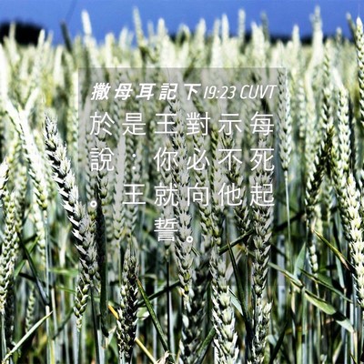 Picture 04 - 撒 母 耳 記 下 19:23 CUVT - 於 是 王 對 示 每 說 ： 你 必 不 死 - Bible Verse Picture