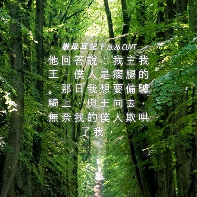 Picture 04 - 撒 母 耳 記 下 19:26 CUVT - 他 回 答 說 ： 我 主 我 王 ， 僕 人 - Bible Verse Picture