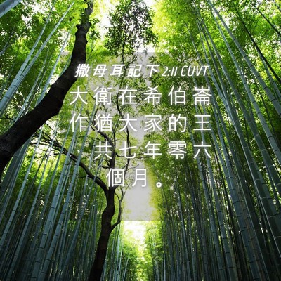Picture 04 - 撒 母 耳 記 下 2:11 CUVT - 大 衛 在 希 伯 崙 作 猶 大 家 的 王 - Bible Verse Picture