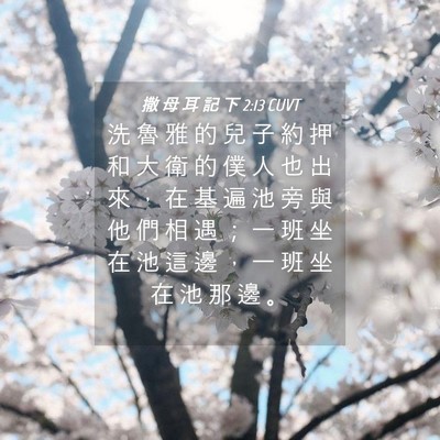 Picture 04 - 撒 母 耳 記 下 2:13 CUVT - 洗 魯 雅 的 兒 子 約 押 和 大 衛 的 - Bible Verse Picture