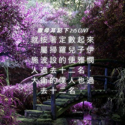 Picture 04 - 撒 母 耳 記 下 2:15 CUVT - 就 按 著 定 數 起 來 ： 屬 掃 羅 兒 - Bible Verse Picture