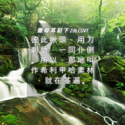 Picture 04 - 撒 母 耳 記 下 2:16 CUVT - 彼 此 揪 頭 ， 用 刀 刺 肋 ， 一 同 - Bible Verse Picture