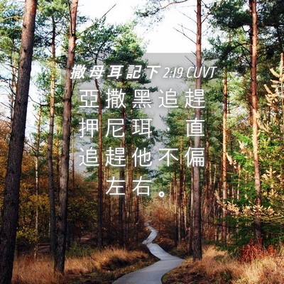 Picture 04 - 撒 母 耳 記 下 2:19 CUVT - 亞 撒 黑 追 趕 押 尼 珥 ， 直 追 趕 - Bible Verse Picture