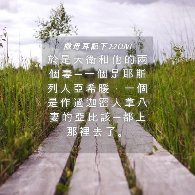 Picture 04 - 撒 母 耳 記 下 2:2 CUVT - 於 是 大 衛 和 他 的 兩 個 妻 ─ 一 - Bible Verse Picture