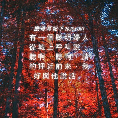 Picture 04 - 撒 母 耳 記 下 20:16 CUVT - 有 一 個 聰 明 婦 人 從 城 上 呼 叫 - Bible Verse Picture