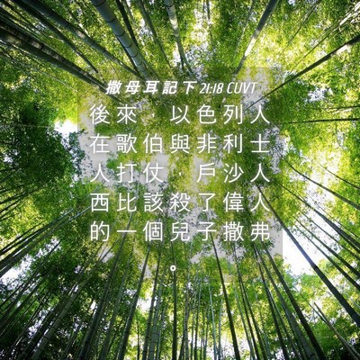Picture 04 - 撒 母 耳 記 下 21:18 CUVT - 後 來 ， 以 色 列 人 在 歌 伯 與 非 - Bible Verse Picture