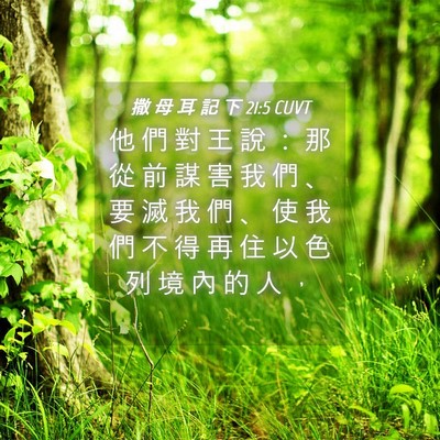 Picture 04 - 撒 母 耳 記 下 21:5 CUVT - 他 們 對 王 說 ： 那 從 前 謀 害 我 - Bible Verse Picture