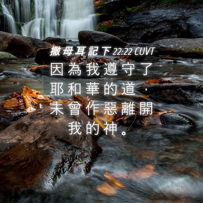 Picture 04 - 撒 母 耳 記 下 22:22 CUVT - 因 為 我 遵 守 了 耶 和 華 的 道 ， - Bible Verse Picture