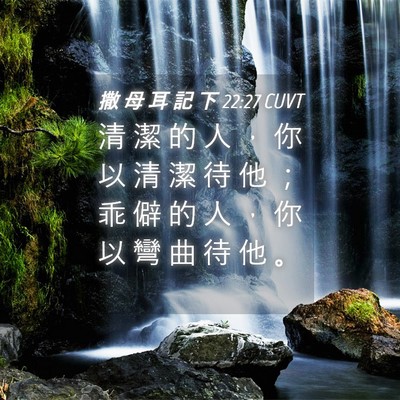 Picture 04 - 撒 母 耳 記 下 22:27 CUVT - 清 潔 的 人 ， 你 以 清 潔 待 他 ； - Bible Verse Picture
