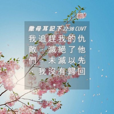 Picture 04 - 撒 母 耳 記 下 22:38 CUVT - 我 追 趕 我 的 仇 敵 ， 滅 絕 了 他 - Bible Verse Picture