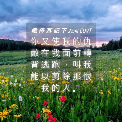 Picture 04 - 撒 母 耳 記 下 22:41 CUVT - 你 又 使 我 的 仇 敵 在 我 面 前 轉 - Bible Verse Picture