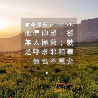 Picture 04 - 撒 母 耳 記 下 22:42 CUVT - 他 們 仰 望 ， 卻 無 人 拯 救 ； 就 - Bible Verse Picture