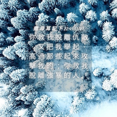 Picture 04 - 撒 母 耳 記 下 22:49 CUVT - 你 救 我 脫 離 仇 敵 ， 又 把 我 舉 - Bible Verse Picture