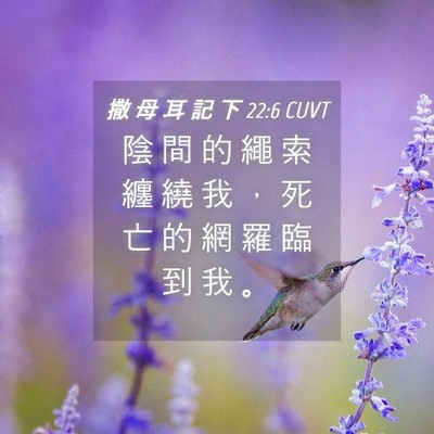 Picture 04 - 撒 母 耳 記 下 22:6 CUVT - 陰 間 的 繩 索 纏 繞 我 ， 死 亡 的 - Bible Verse Picture