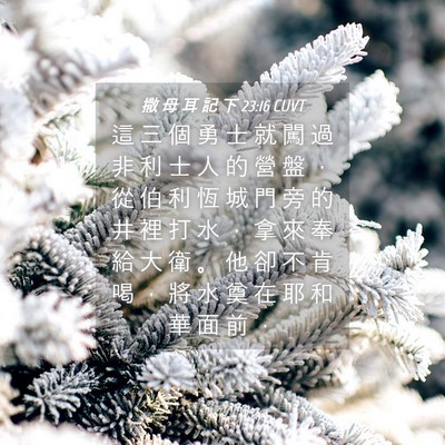 Picture 04 - 撒 母 耳 記 下 23:16 CUVT - 這 三 個 勇 士 就 闖 過 非 利 士 人 - Bible Verse Picture