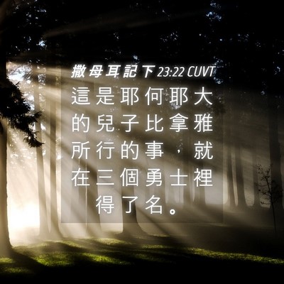 Picture 04 - 撒 母 耳 記 下 23:22 CUVT - 這 是 耶 何 耶 大 的 兒 子 比 拿 雅 - Bible Verse Picture