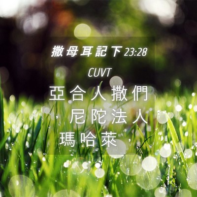 Picture 04 - 撒 母 耳 記 下 23:28 CUVT - 亞 合 人 撒 們 ， 尼 陀 法 人 瑪 哈 - Bible Verse Picture