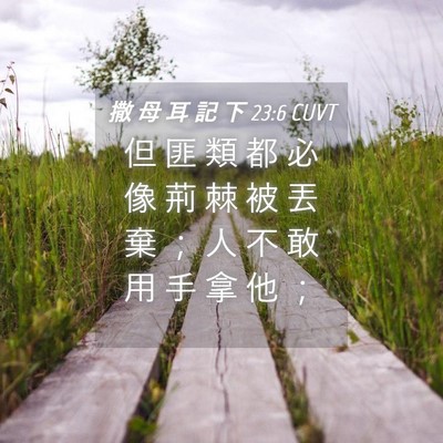 Picture 04 - 撒 母 耳 記 下 23:6 CUVT - 但 匪 類 都 必 像 荊 棘 被 丟 棄 ； - Bible Verse Picture