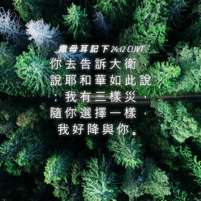 Picture 04 - 撒 母 耳 記 下 24:12 CUVT - 你 去 告 訴 大 衛 ， 說 耶 和 華 如 - Bible Verse Picture